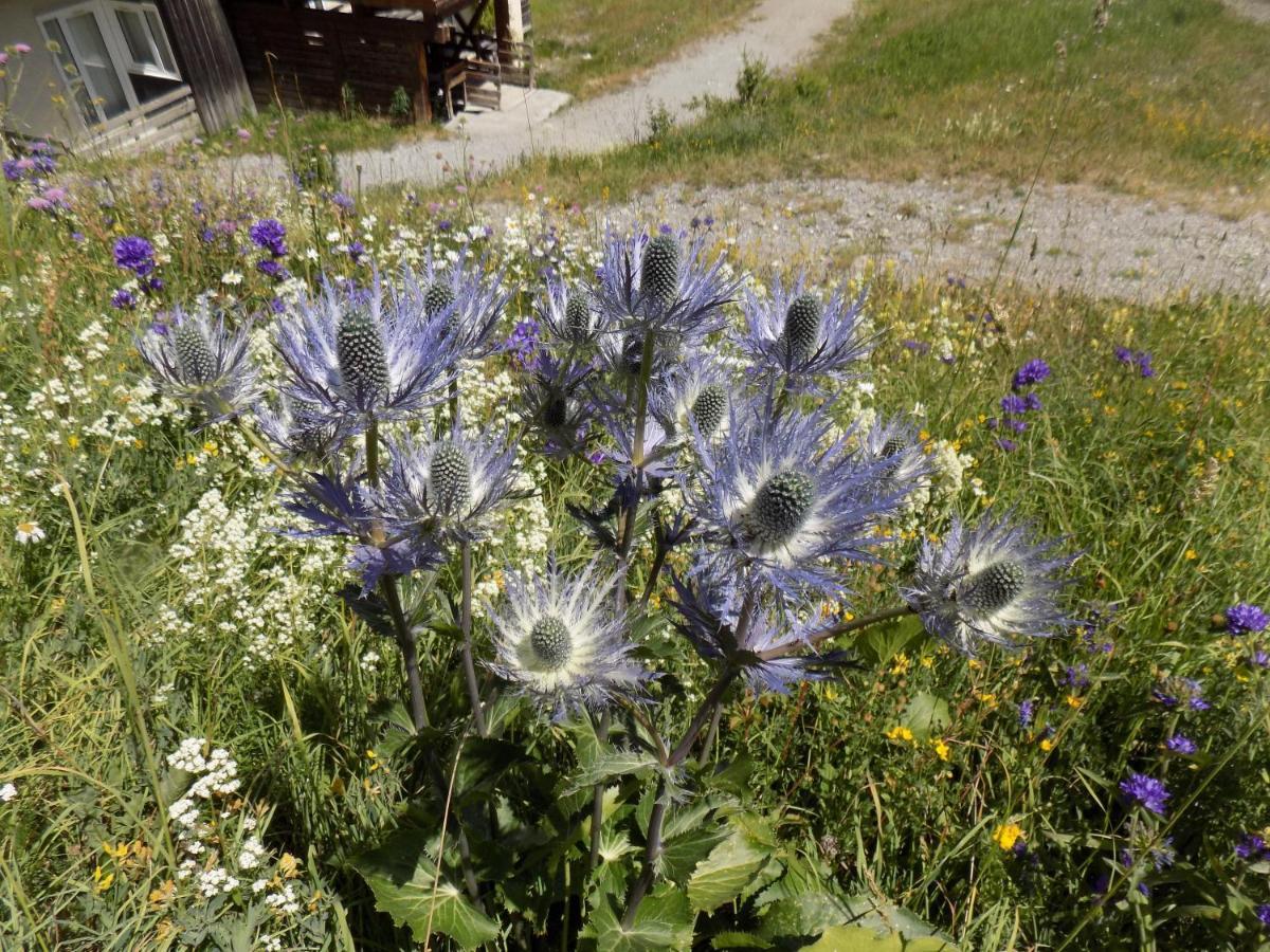 Appart 4 P Pied Des Pistes Risoul 1850 Εξωτερικό φωτογραφία